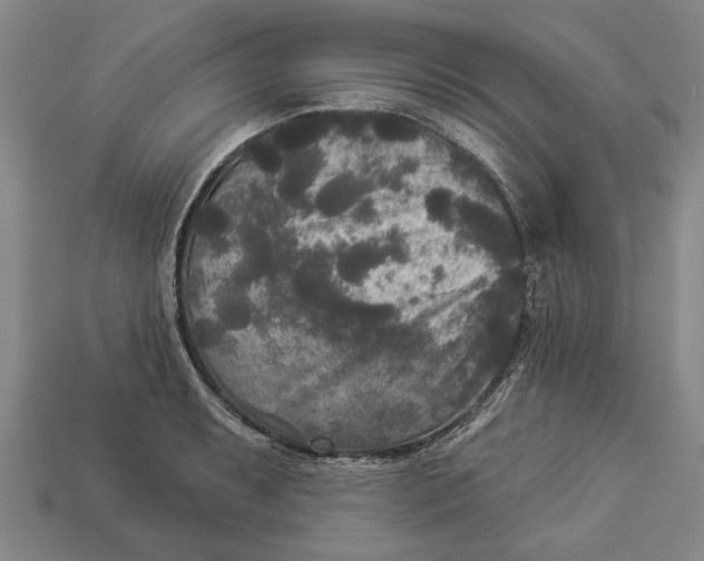 X0000112961087200909171253