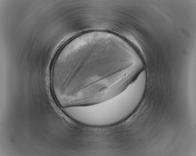 X0000112961088200909171253