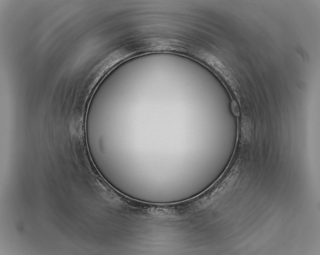 X0000112961089200909171253