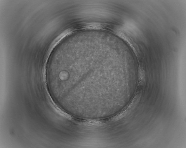 X0000112961090200909171253