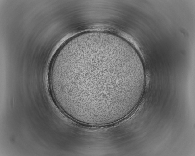 X0000112961091200909171253