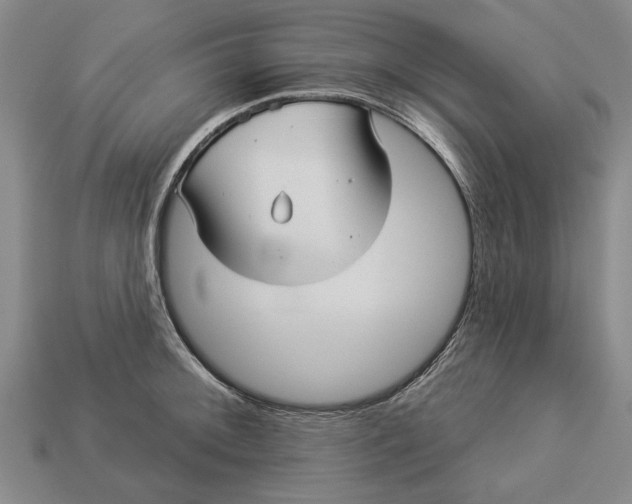 X0000112961092200909171253