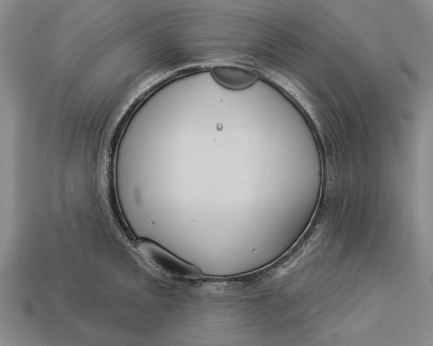 X0000112961093200909171253