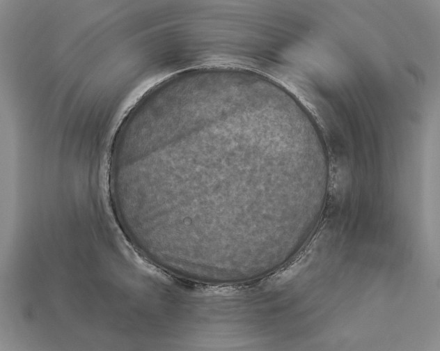 X0000112961094200909171253