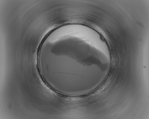 X0000112961095200909171252