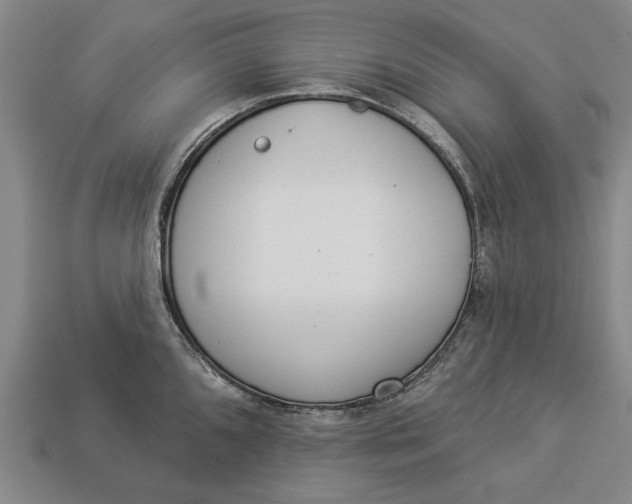 X0000112961096200909171252