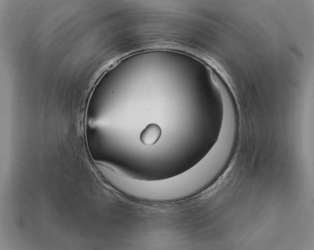 X0000112961097200909171252