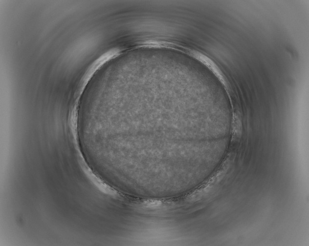 X0000112961098200909171252