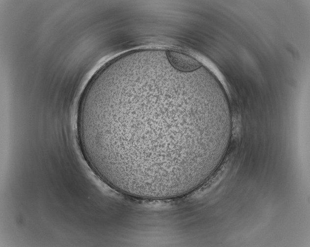 X0000112961099200909171252