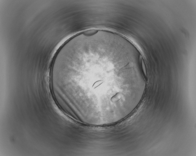 X0000112961100200909171252