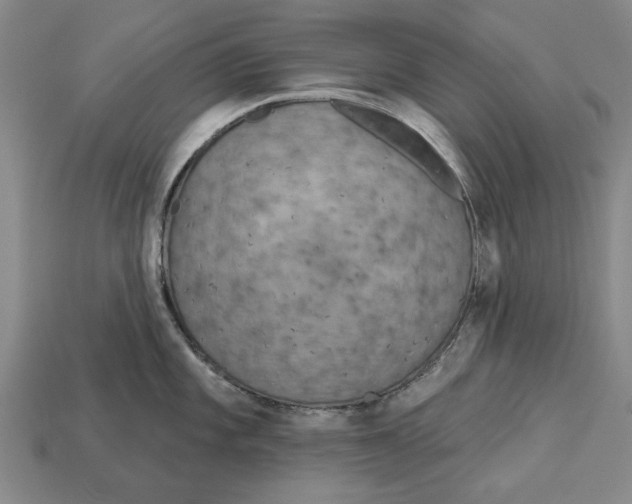 X0000112961101200909171252