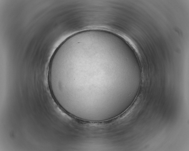 X0000112961102200909171252