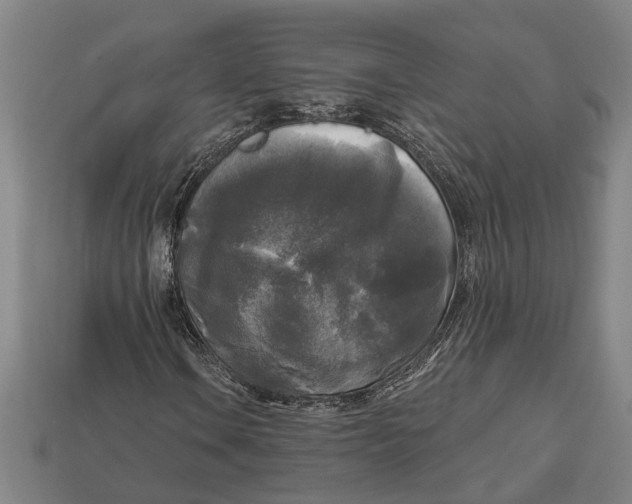 X0000112961106200909171252