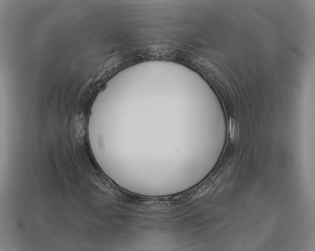 X0000112961107200909171252