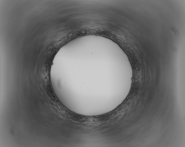 X0000112961109200909171252