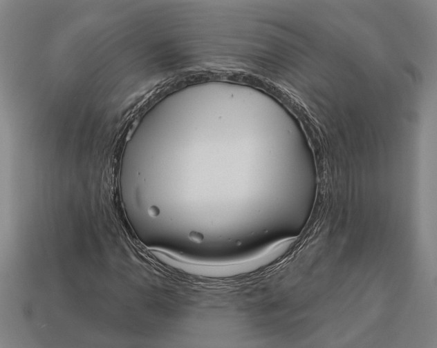 X0000112961110200909171252