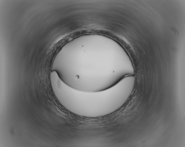 X0000112961112200909171252