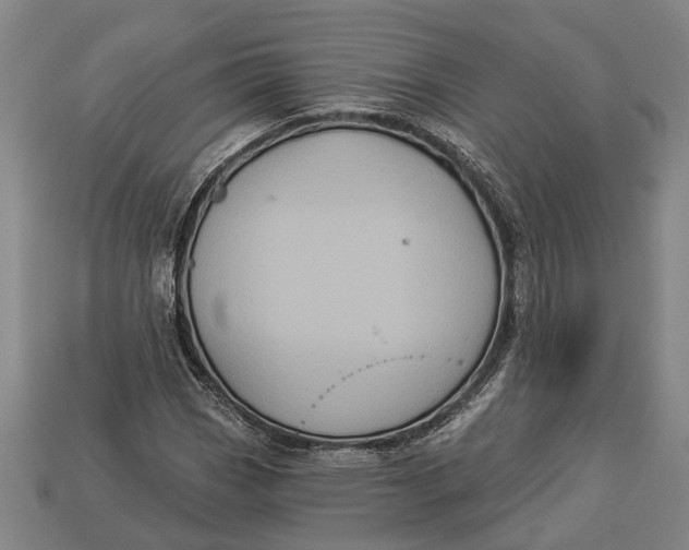 X0000112961113200909171252