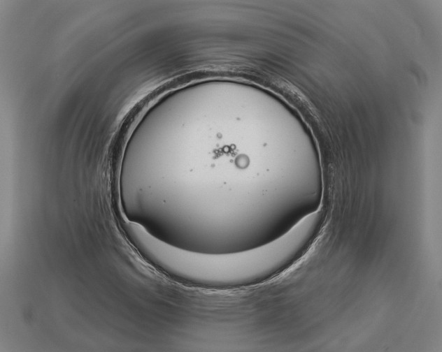 X0000112961114200909171252