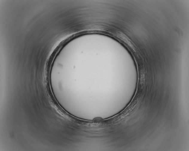 X0000112961116200909171252