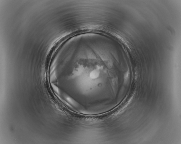 X0000112961117200909171252