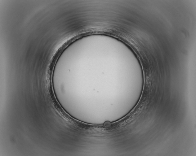 X0000112961119200909171252