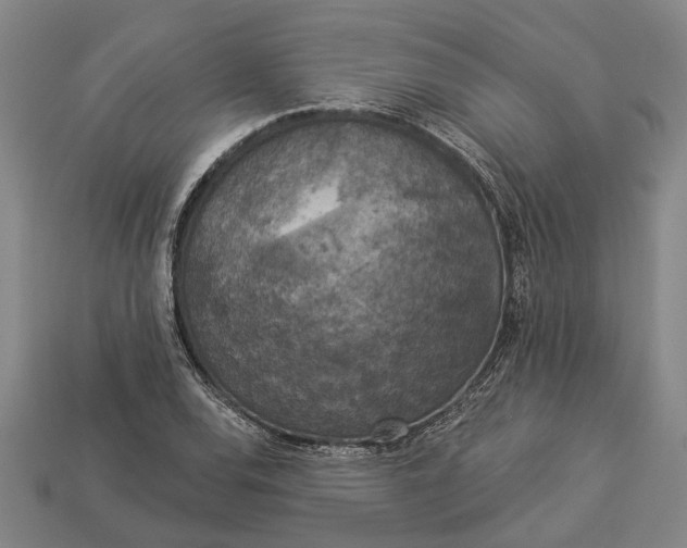 X0000112961120200909171252