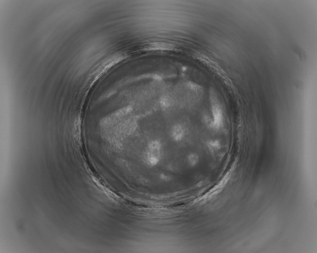 X0000112961121200909171252