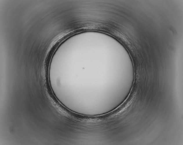 X0000112961122200909171252