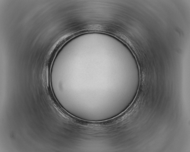 X0000112961123200909171252