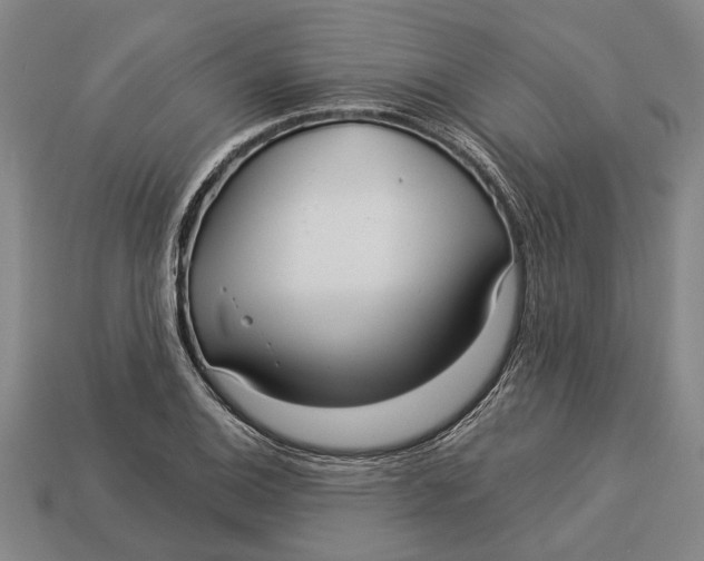 X0000112961124200909171252