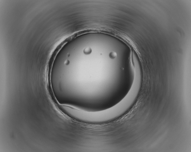 X0000112961128200909171252