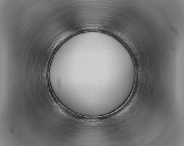 X0000112961129200909171252