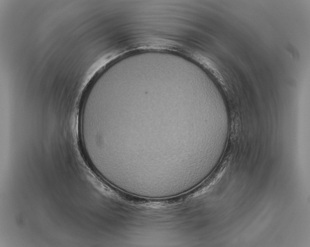 X0000112961130200909171252