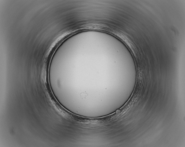 X0000112961131200909171252