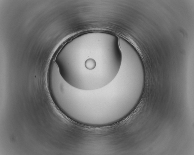 X0000112961132200909171252