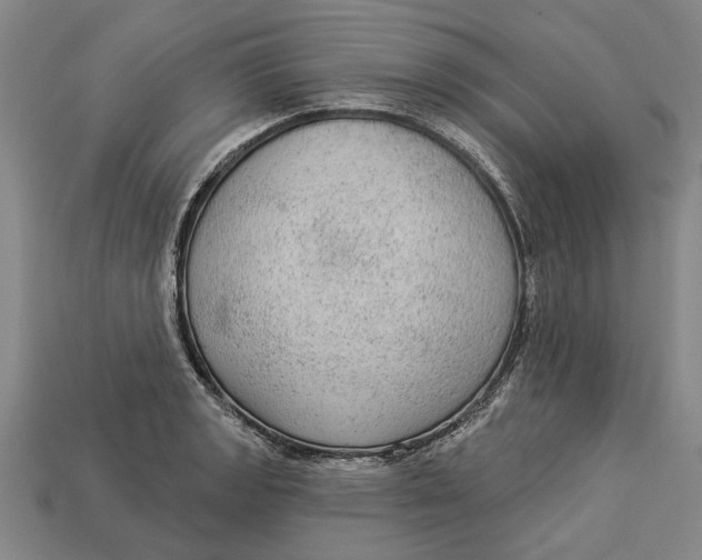 X0000112961133200909171252