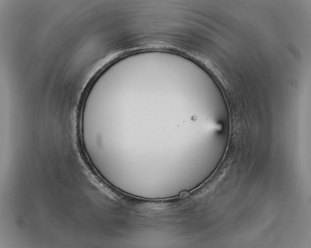 X0000112961134200909171252