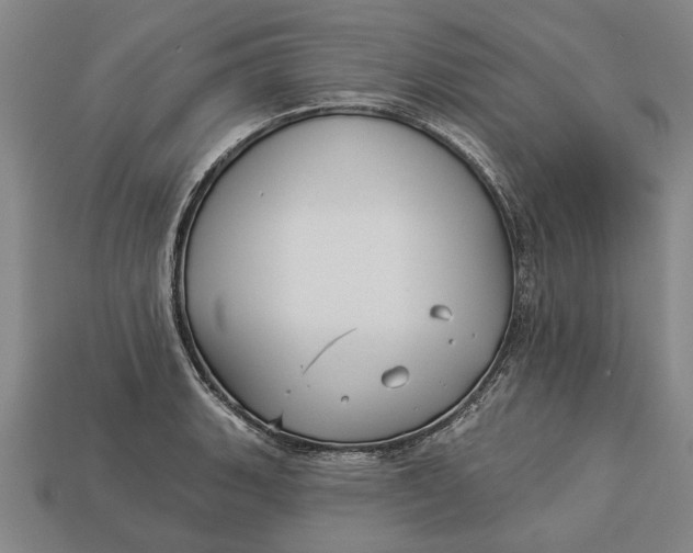 X0000112961135200909171252