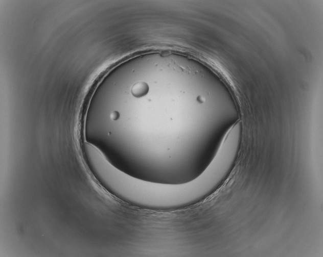 X0000112961136200909171252