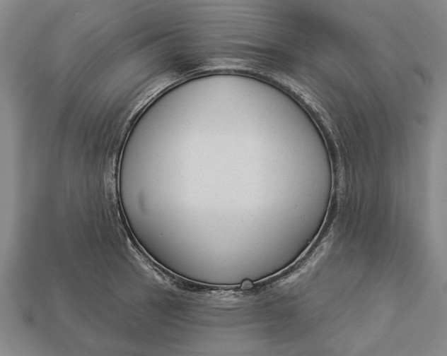 X0000112961137200909171252