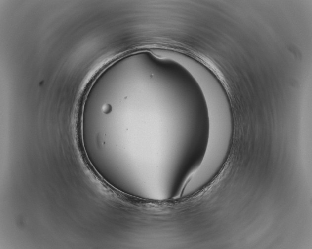 X0000112961138200909171252