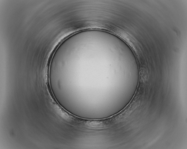 X0000112961140200909171252