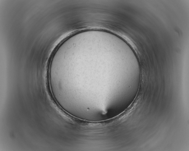 X0000112961142200909171252