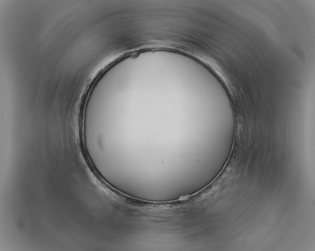 X0000112961143200909171252