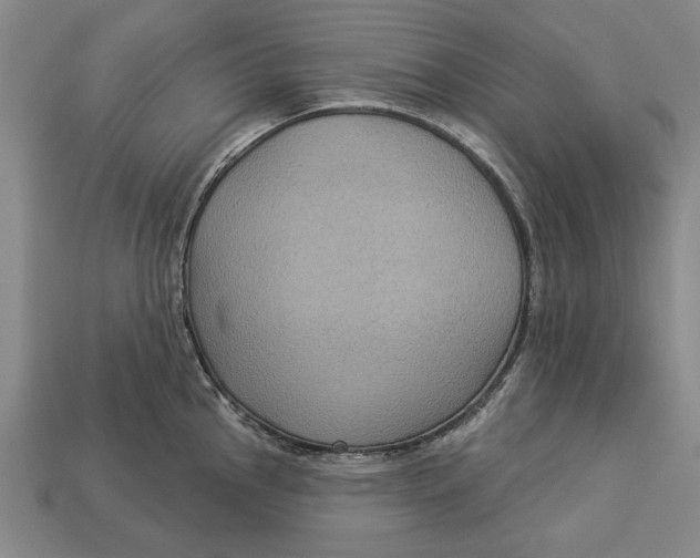 X0000112961145200909171252