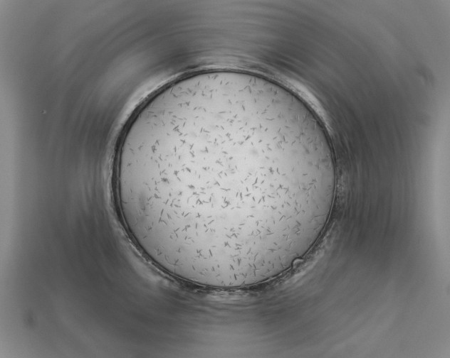 X0000112961146200909171252