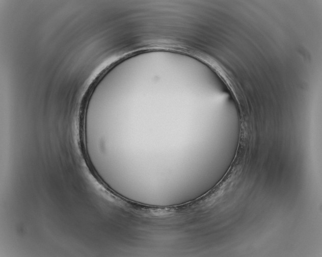 X0000112961147200909171252