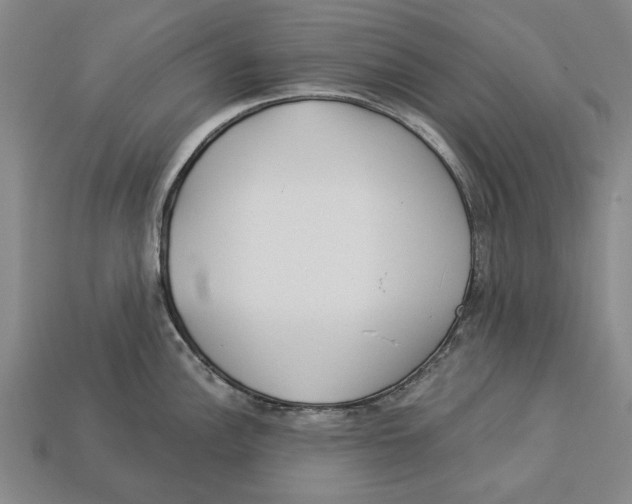 X0000112961148200909171252