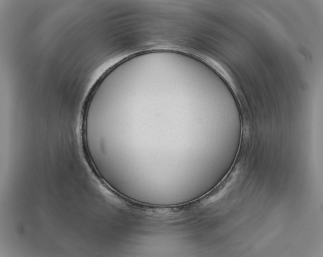 X0000112961149200909171252